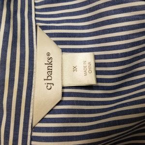 CJ Banks Tops - 3X CJ Banks Blue & White Pinstripe Blouse CJ Banks Tops - 3X CJ Banks Blue & White Pinstripe Blouse